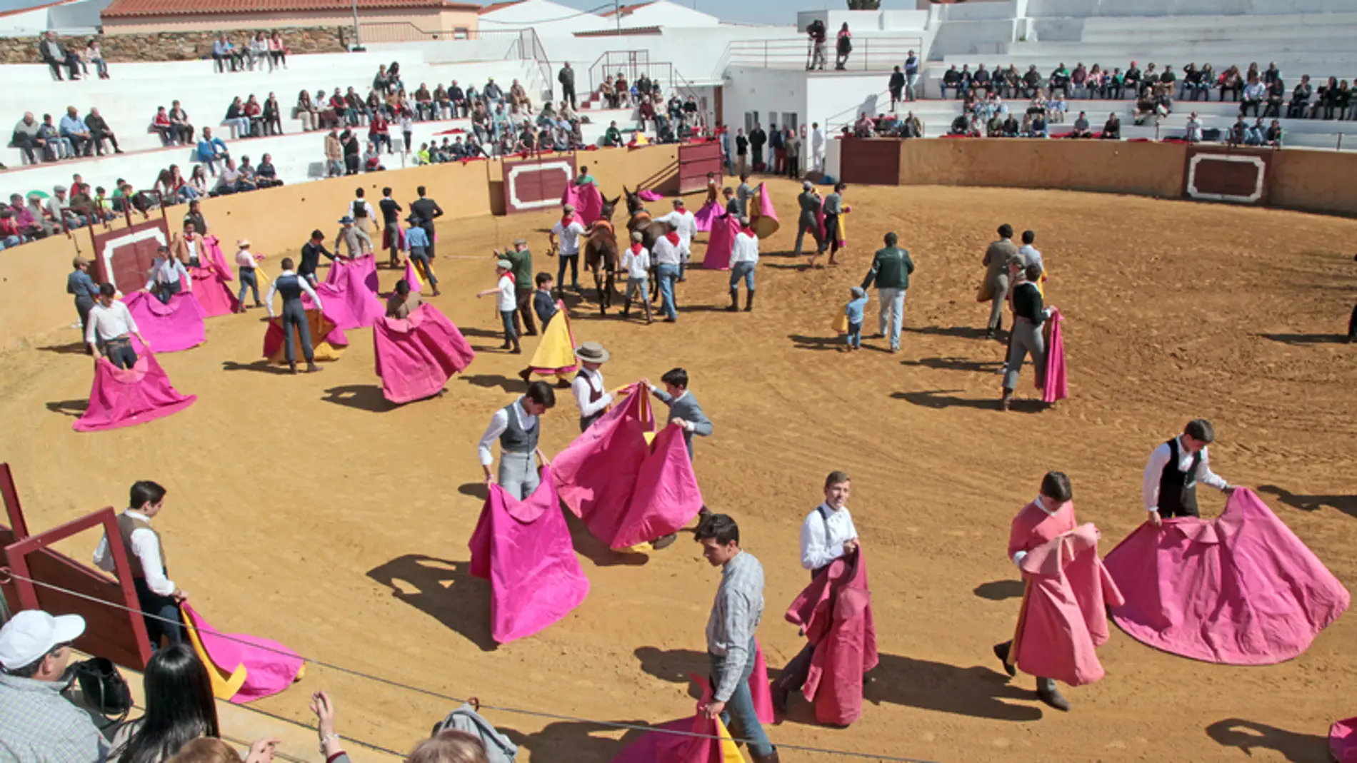 Alumnos de la Escuela Taurina de Badajoz se medirán a seis novillos de la ganadería Alqueva el 10 de septiembre