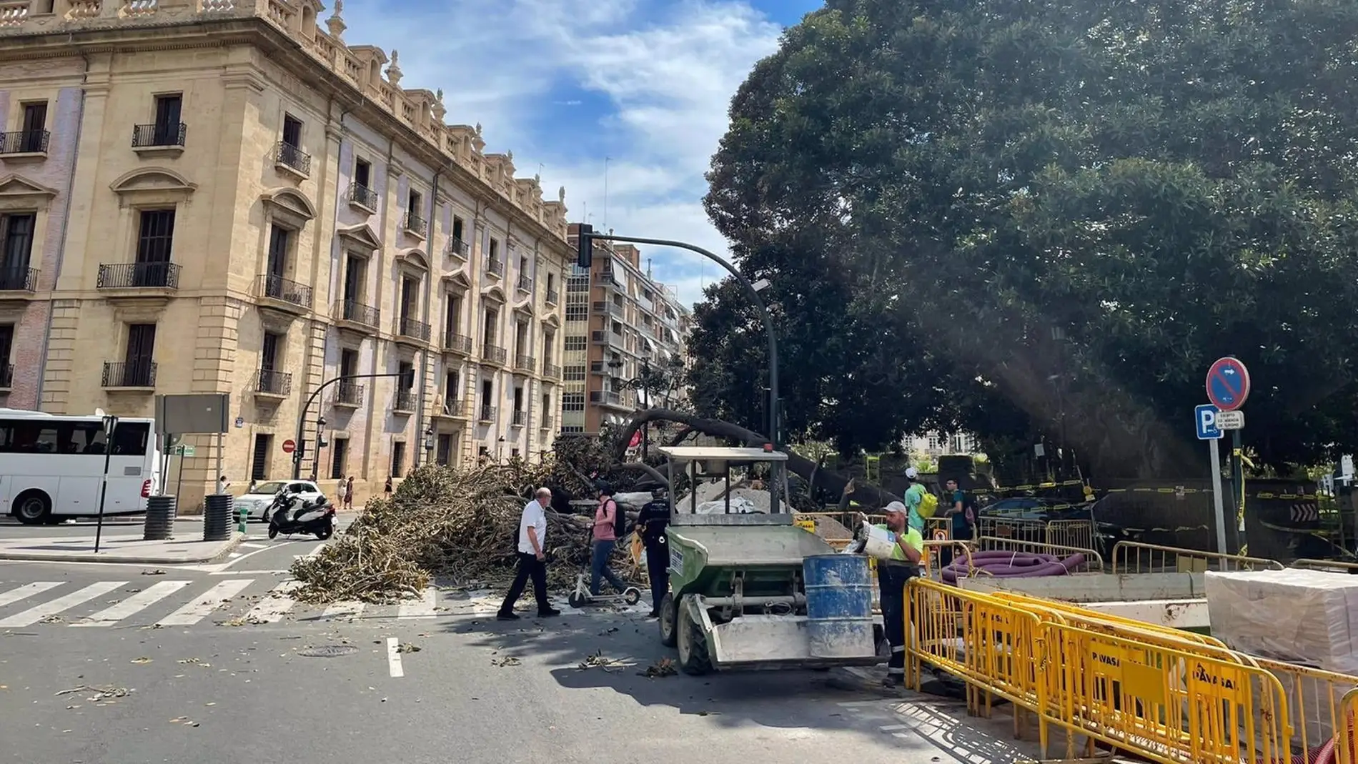 Cuatro heridos al caer la rama de uno de los árboles monumentales del  Parterre | Onda Cero Radio