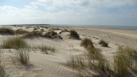 Parque Natural de la Bah&iacute;a de C&aacute;diz