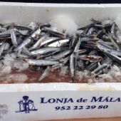 Boqueron Vitoriano 