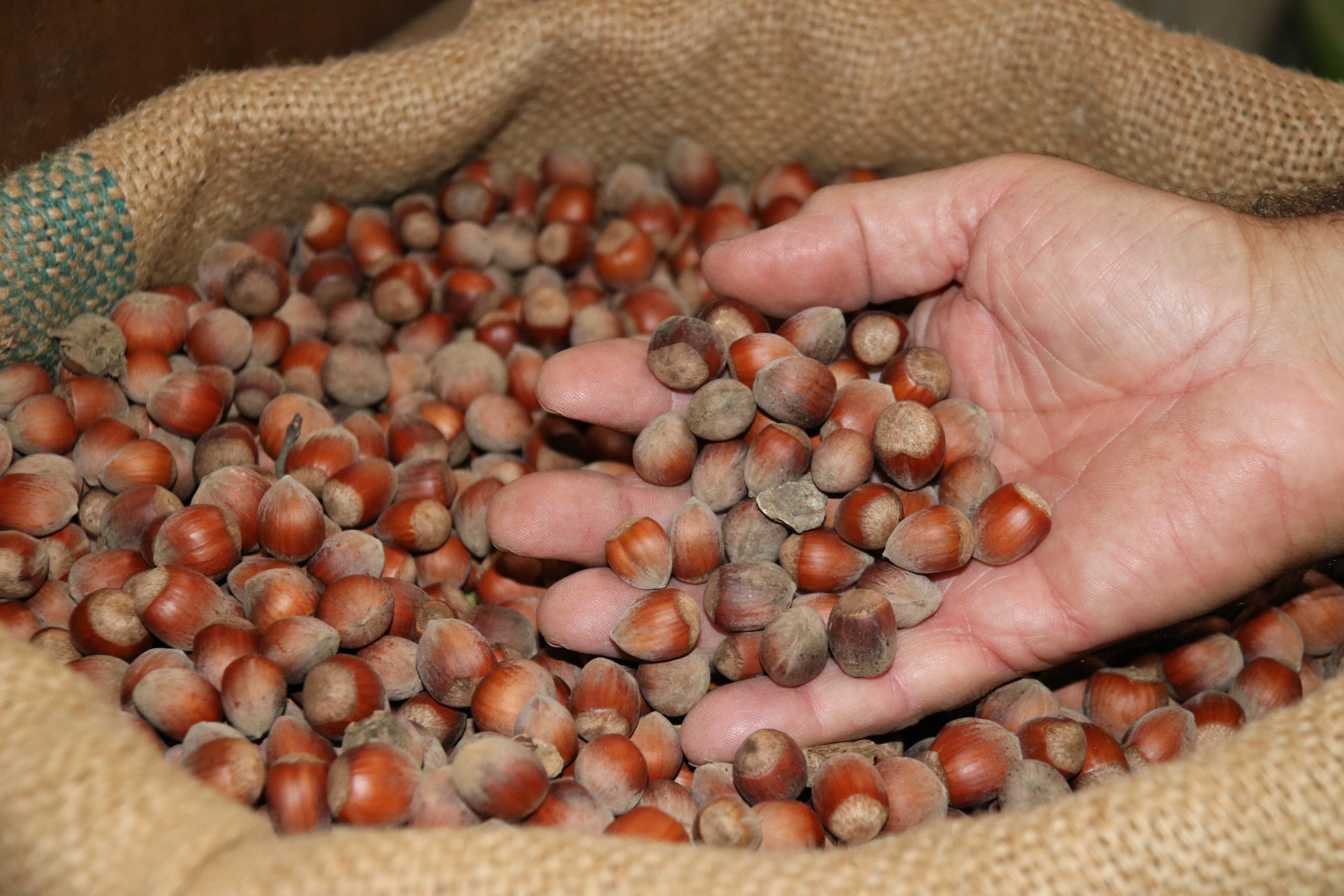 No surten els números No surten els números