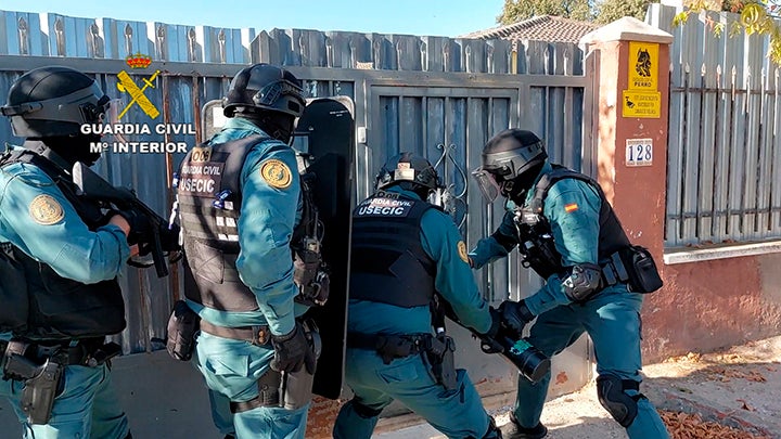 Operación antidroga en Hormigos (Toledo): 19 detenidos y 10.000 plantas de marihuana Operación antidroga en Hormigos (Toledo): 19 detenidos y 10.000 plantas de marihuana