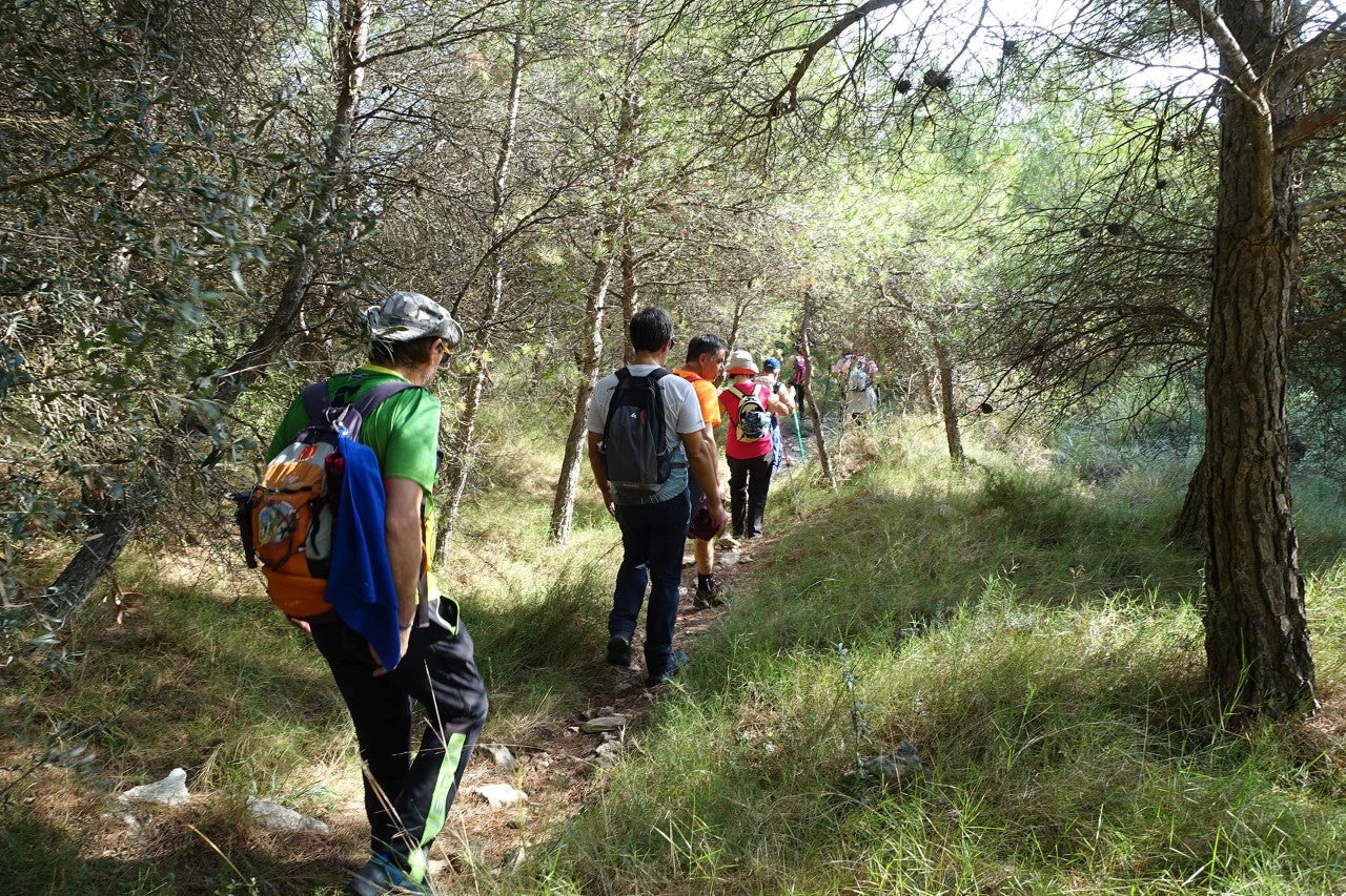 11 rutas senderistas para conocer el entorno volcánico, natural y patrimonial de la provincia de Ciudad Real 11 rutas senderistas para conocer el entorno volcánico, natural y patrimonial de la provincia de Ciudad Real