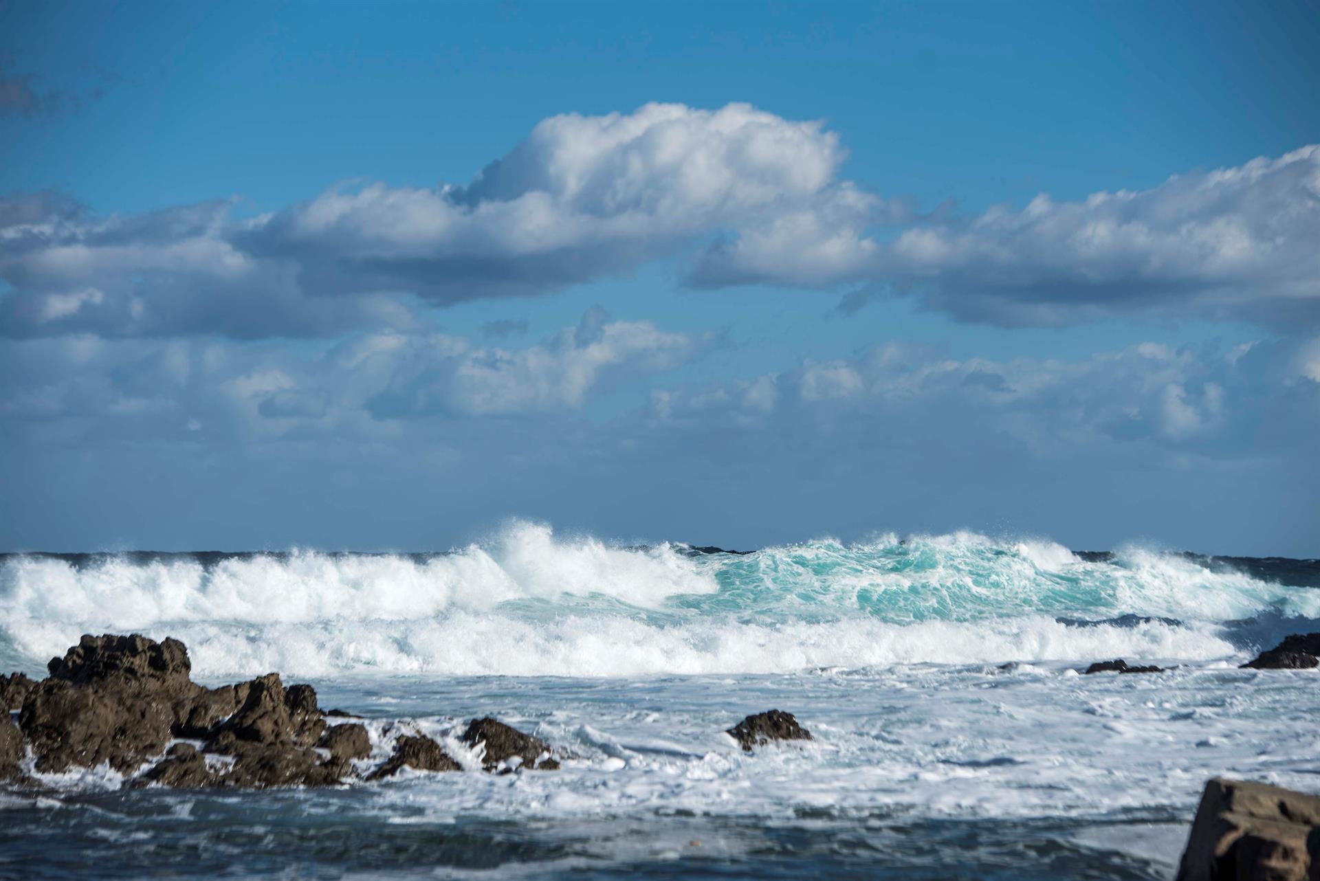 Manuel San Félix, biólogo marino: "El turismo es compatible con la preservación del mar pero debemos cambiar la forma de actuar" Manuel San Félix, biólogo marino: "El turismo es compatible con la preservación del mar pero debemos cambiar la forma de actuar"