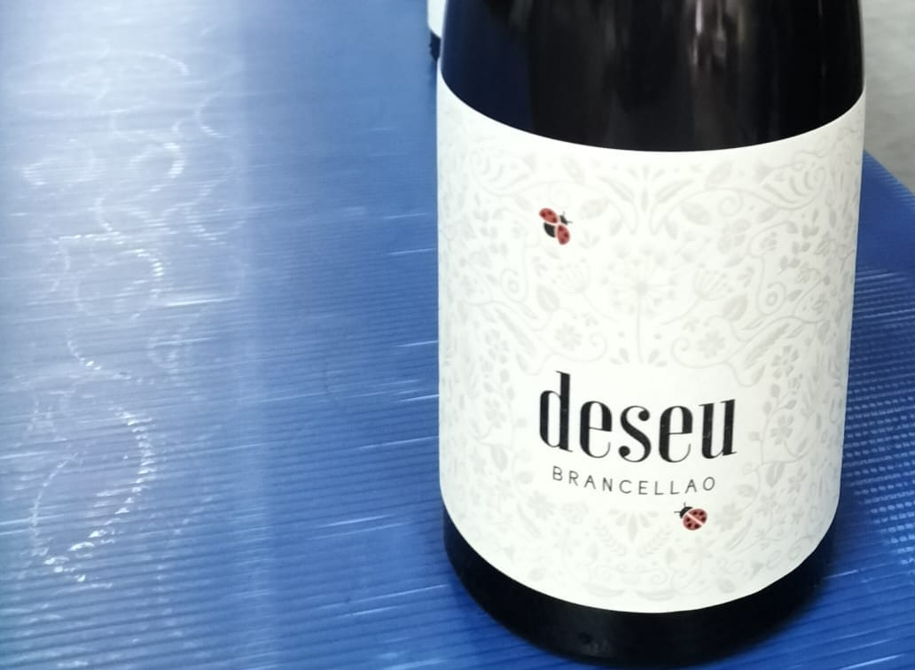 El Maridaje Perfecto con Adegas Terrae El Maridaje Perfecto con Adegas Terrae