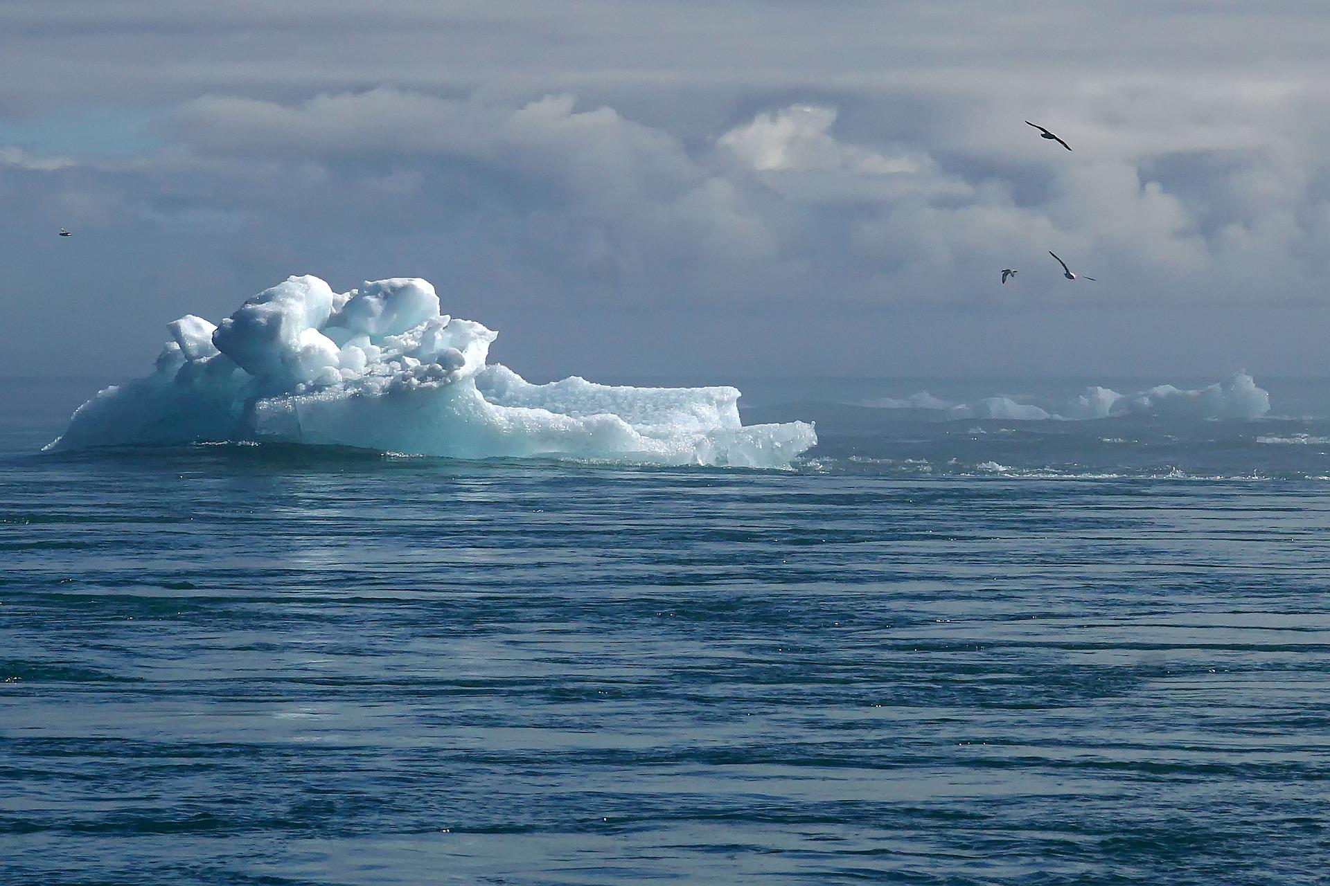 Javier Peña: El mundo virtual contra el cambio climático Javier Peña: El mundo virtual contra el cambio climático