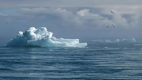 Imagen de un Iceberg Imagen de un Iceberg