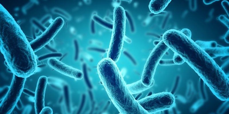 La vida secreta de los residuos se descubrirá en la noche de los investigadores La vida secreta de los residuos se descubrirá en la noche de los investigadores