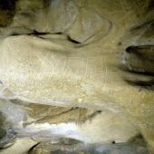Grabados de la Edad del Bronce en la cueva de Los Enebralejos (Prádena)