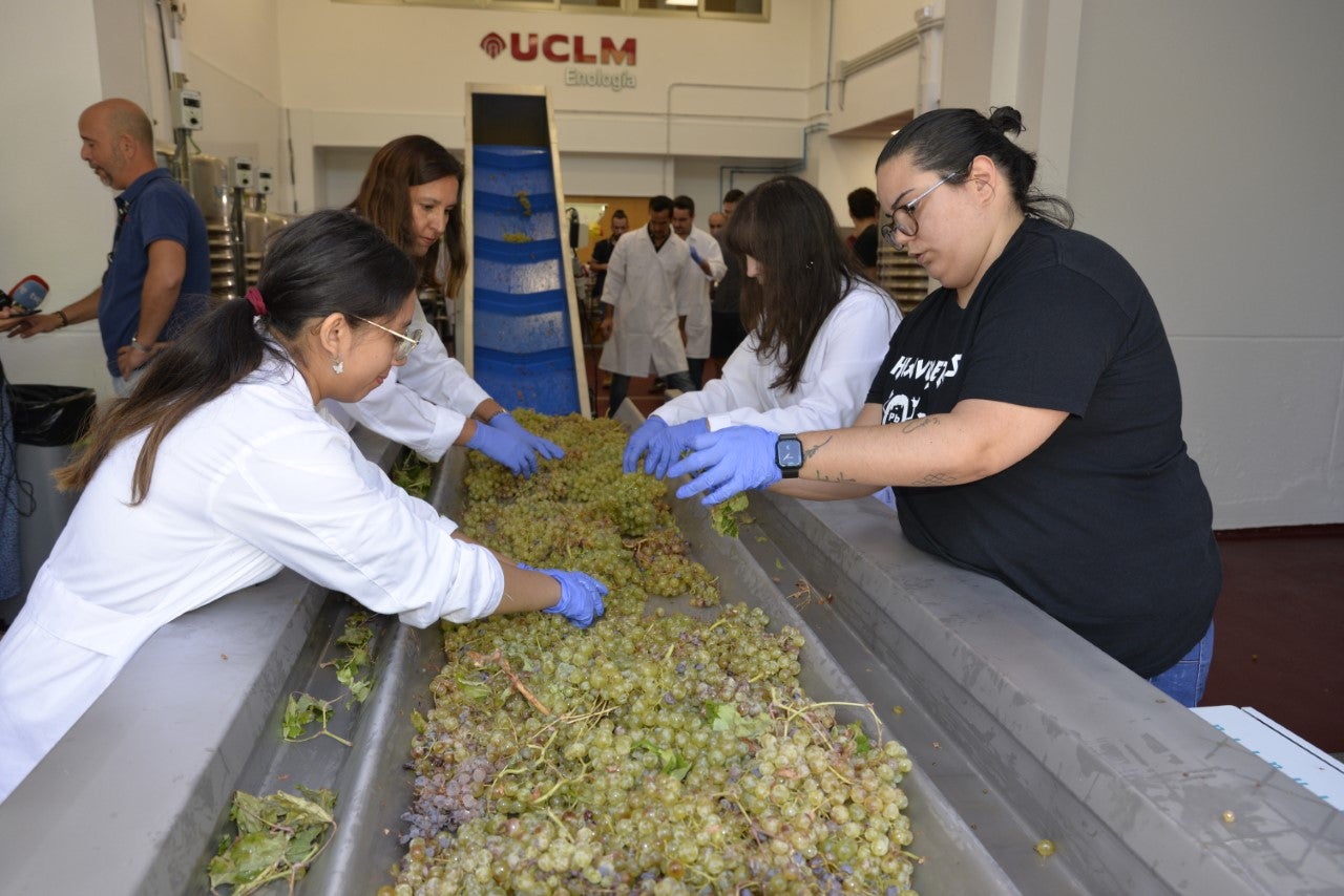 Arranca la primera campaña de vendimia en la bodega experimental del campus de Ciudad Real Arranca la primera campaña de vendimia en la bodega experimental del campus de Ciudad Real