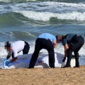 Fallece ahogada una pareja de holandeses en la playa de La Mata de Torrevieja en una jornada de fuerte levante    