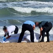Fallece ahogada una pareja de holandeses en la playa de La Mata de Torrevieja en una jornada de fuerte levante Fallece ahogada una pareja de holandeses en la playa de La Mata de Torrevieja en una jornada de fuerte levante