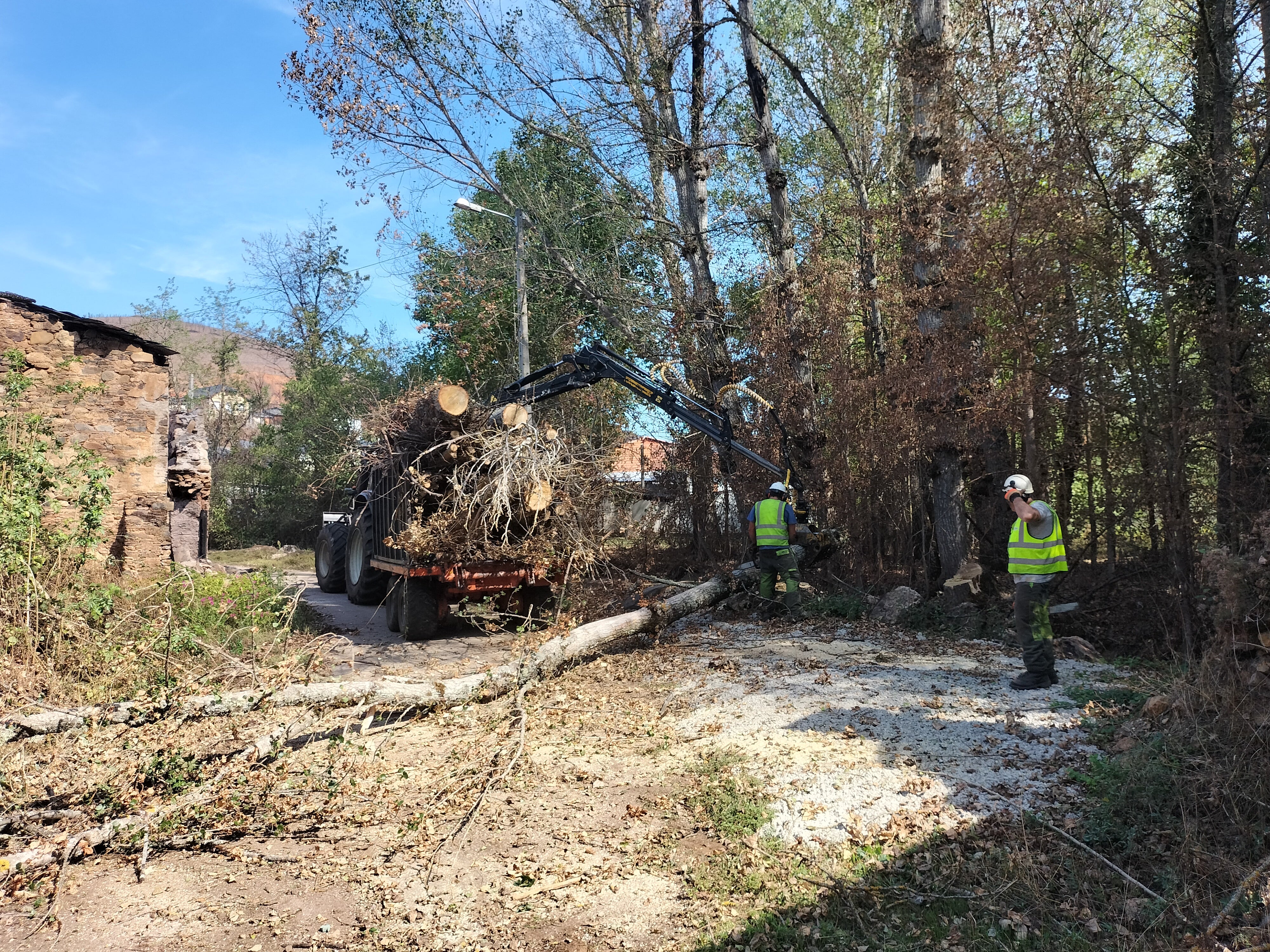A CHMS realiza traballos de restauración nas zonas afectadas polos incendios en Valdeorras A CHMS realiza traballos de restauración nas zonas afectadas polos incendios en Valdeorras