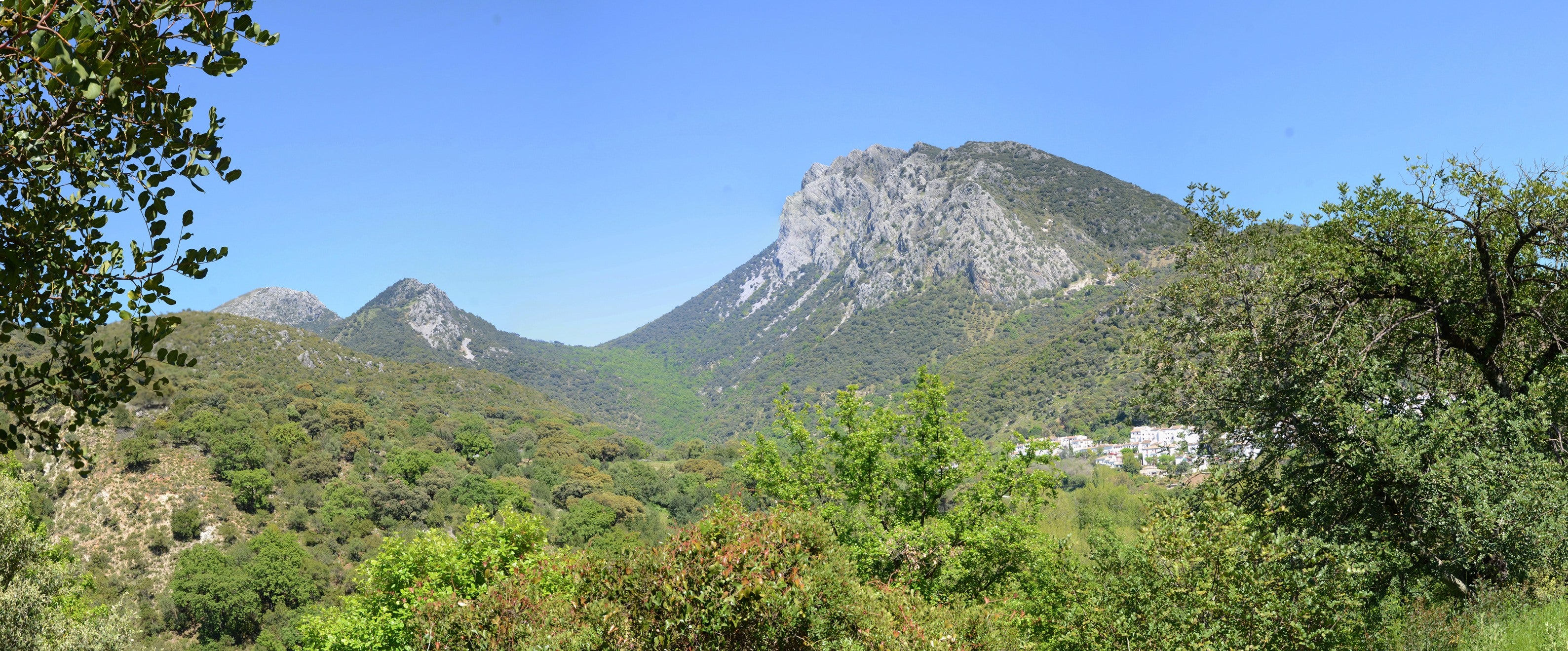 Cádiz y Málaga, unidas por el Parque Natural 'Sierra de Grazalema' Cádiz y Málaga, unidas por el Parque Natural 'Sierra de Grazalema'