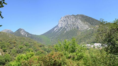 Parque Natural Sierra de Grazalema
