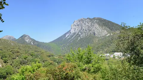 Parque Natural Sierra de Grazalema Parque Natural Sierra de Grazalema