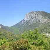 Parque Natural Sierra de Grazalema Parque Natural Sierra de Grazalema
