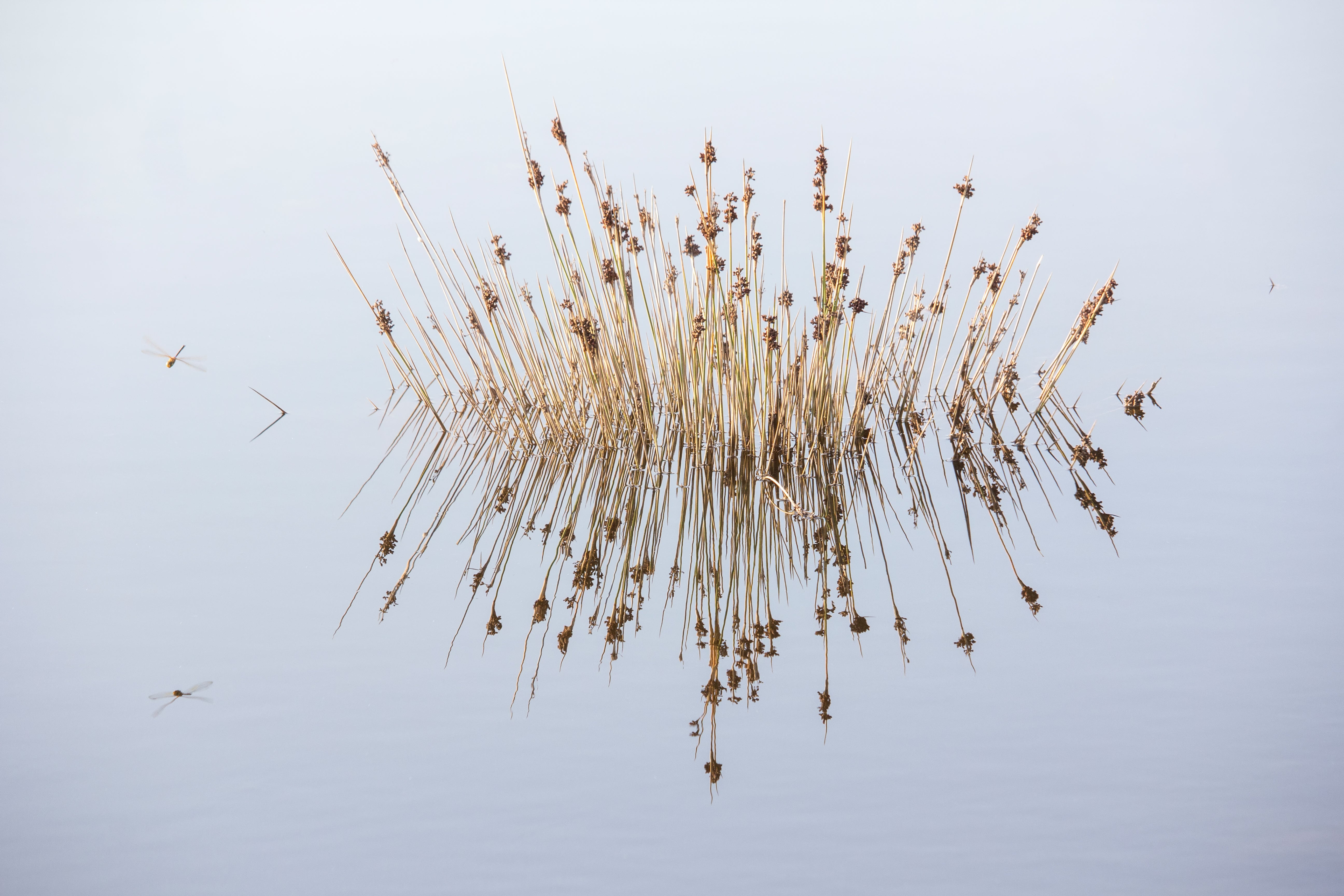 Exposición virtual de fotografía de la XX Edición ‘Espacios Naturales de la Provincia de Almería’ Exposición virtual de fotografía de la XX Edición ‘Espacios Naturales de la Provincia de Almería’