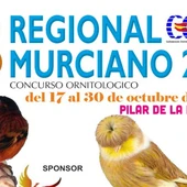 El campeonato regional murciano de ornitología se celebrará este año en Pilar de la Horadada El campeonato regional murciano de ornitología se celebrará este año en Pilar de la Horadada