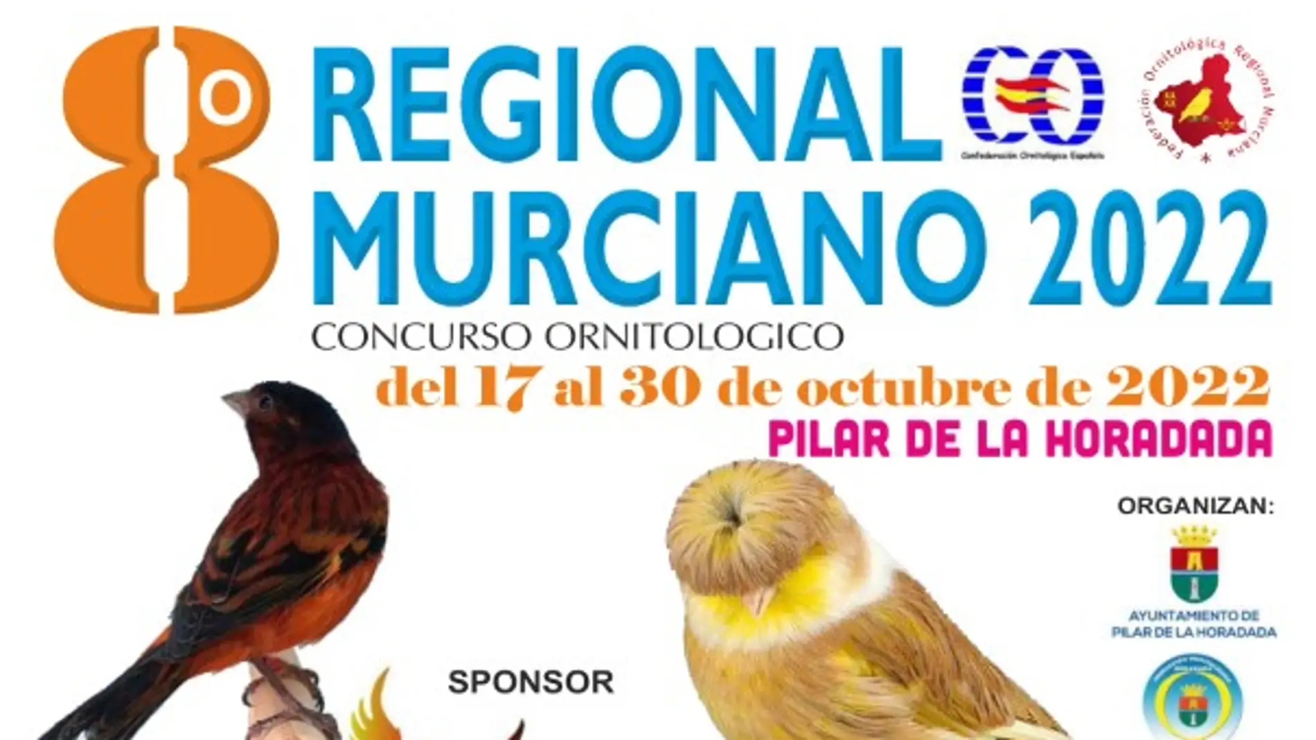 El campeonato regional murciano de ornitología se celebrará este año en Pilar de la Horadada 