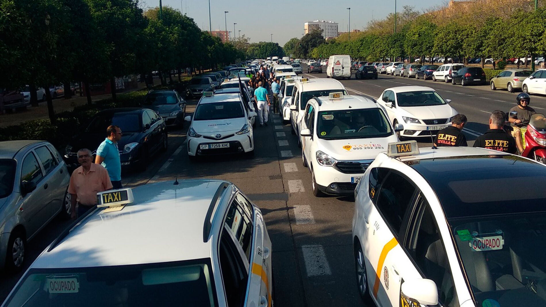 Los taxistas andaluces van a la huelga el fin de semana