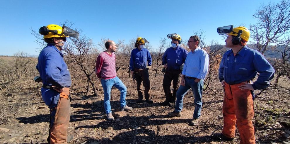 Comienza la restauración en la zona del incendio Comienza la restauración en la zona del incendio