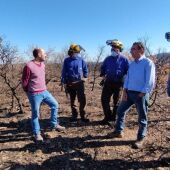 El director general de Gestión Forestal, Diego Bayona, ha visitado la zona afectada por el incendio de Castejón de Tornos