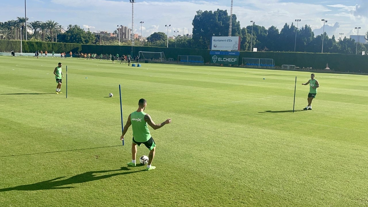 Las lesiones en el Elche no dan respiro a Francisco Las lesiones en el Elche no dan respiro a Francisco