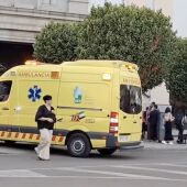 Vergeles reclama a la empresa de ambulancias que "depure responsabilidades" ante el uso "frívolo" de un vehículo