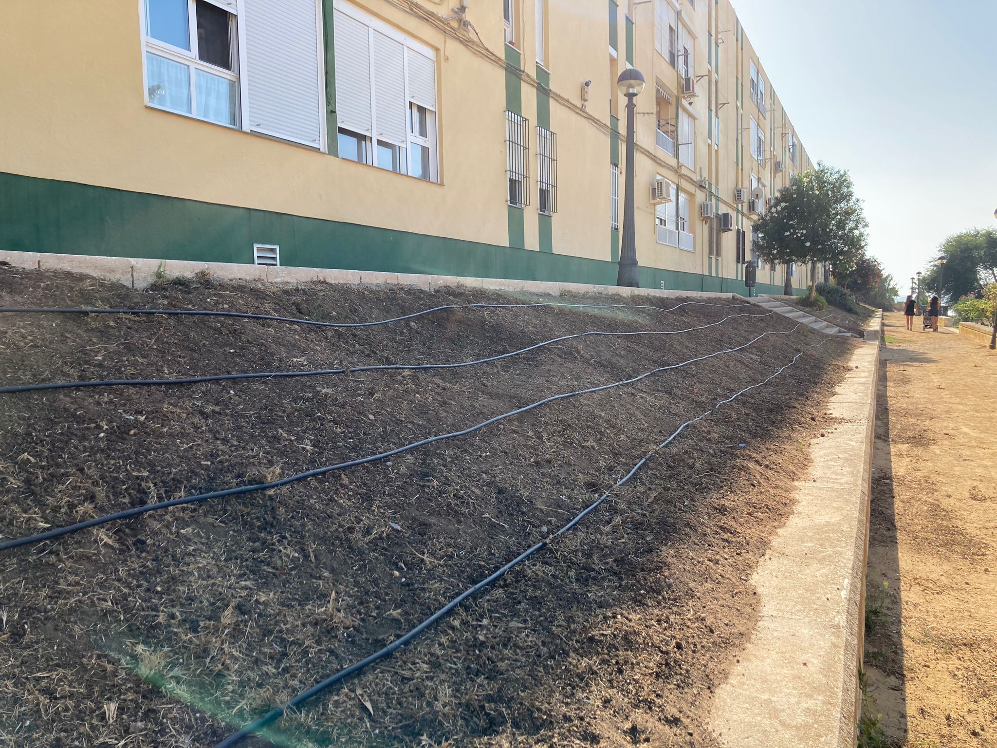 El Ayuntamiento de Puerto Real 'revitalizará' los taludes de La Cachucha con plantas perennes El Ayuntamiento de Puerto Real 'revitalizará' los taludes de La Cachucha con plantas perennes