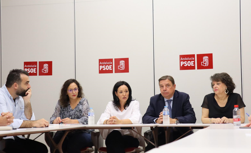 El Ministro de Agricultura augura una producción menor de aceite en la campaña de este año El Ministro de Agricultura augura una producción menor de aceite en la campaña de este año