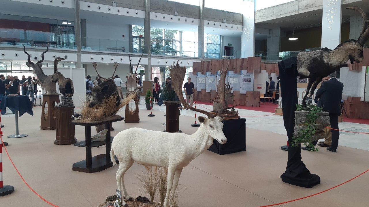 La Diputación de Ciudad Real incrementará casi un 40% su aportación a FERCATUR La Diputación de Ciudad Real incrementará casi un 40% su aportación a FERCATUR