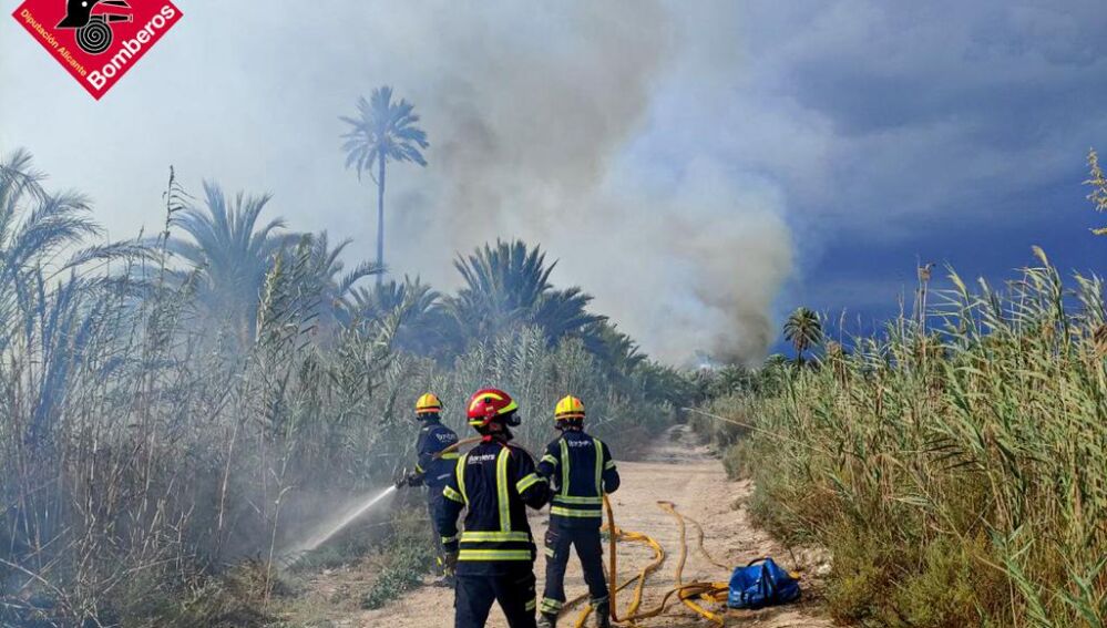 Efectivos de bomberos en el incendio del Parque Natural de El Hondo. 