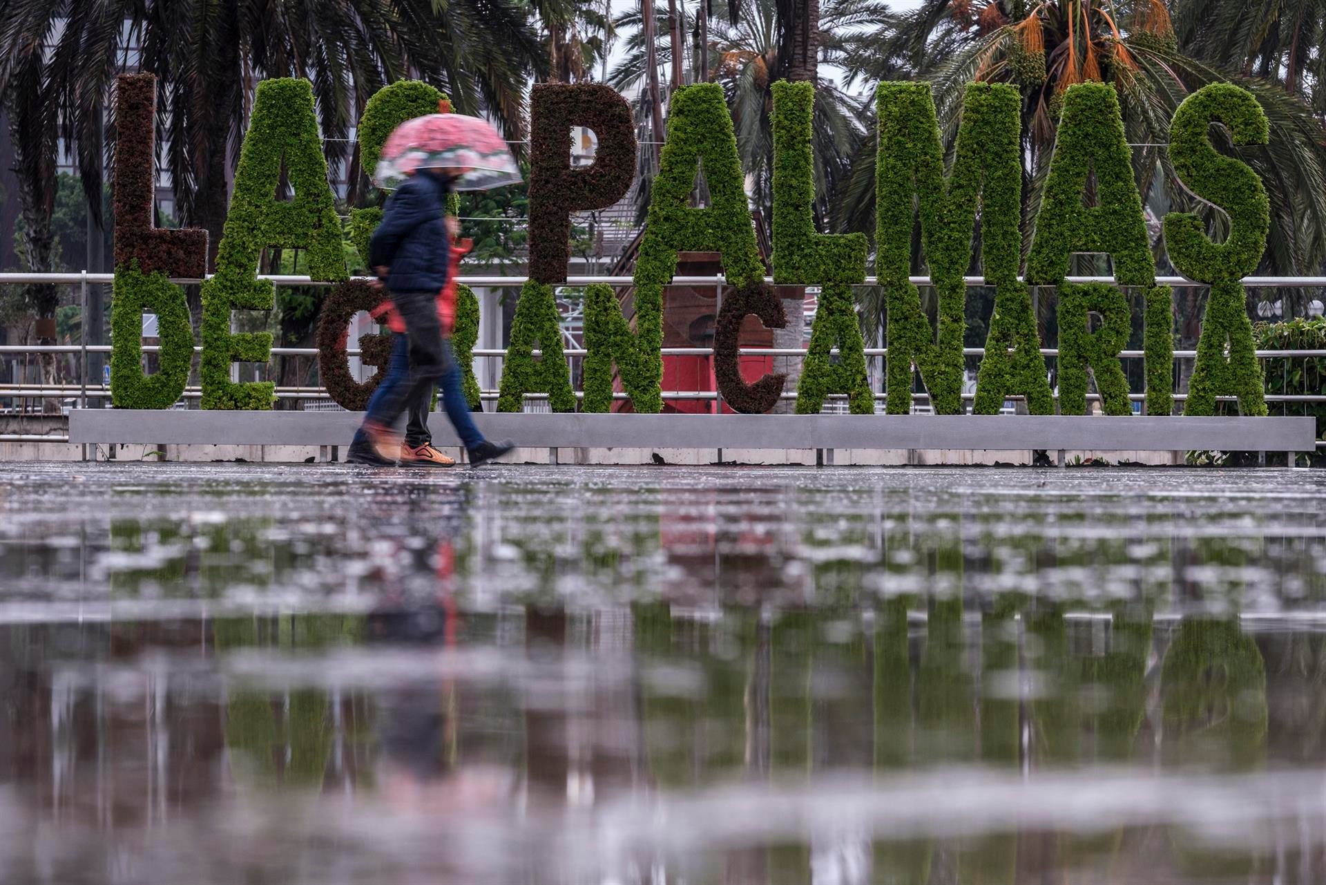 Canarias registra más de 800 incidentes por las fuertes lluvias provocadas por Hermine Canarias registra más de 800 incidentes por las fuertes lluvias provocadas por Hermine