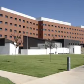 Las dos personas fueron trasladadas al hospital de Ciudad Real Las dos personas fueron trasladadas al hospital de Ciudad Real