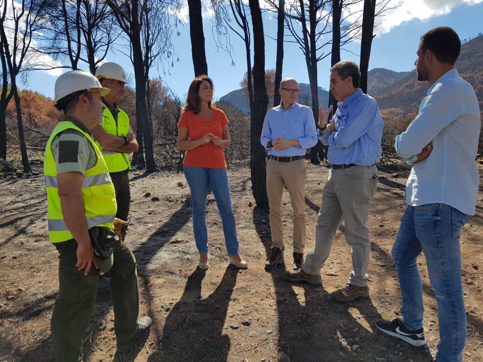 Comienzan los trabajos para la recuperación forestal de la Sierra de Mijas Comienzan los trabajos para la recuperación forestal de la Sierra de Mijas