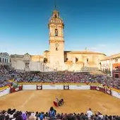 Toros Algemesí Toros Algemesí