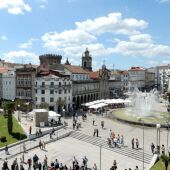 Braga cat