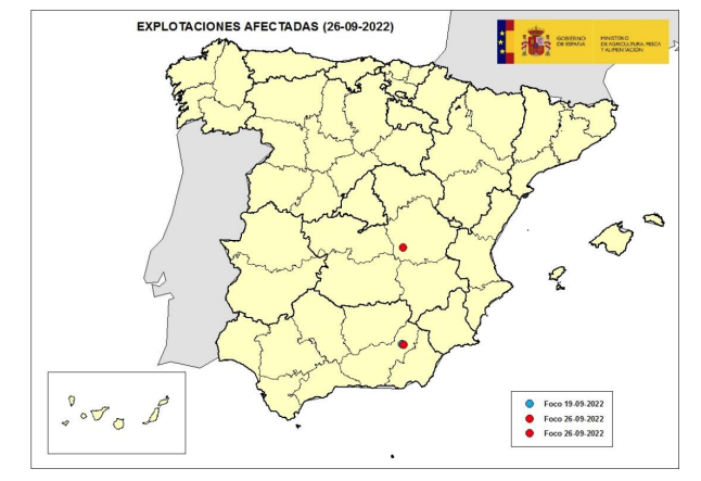 Detectado un foco de viruela ovina y caprina en Villaescusa de Haro, Cuenca Detectado un foco de viruela ovina y caprina en Villaescusa de Haro, Cuenca