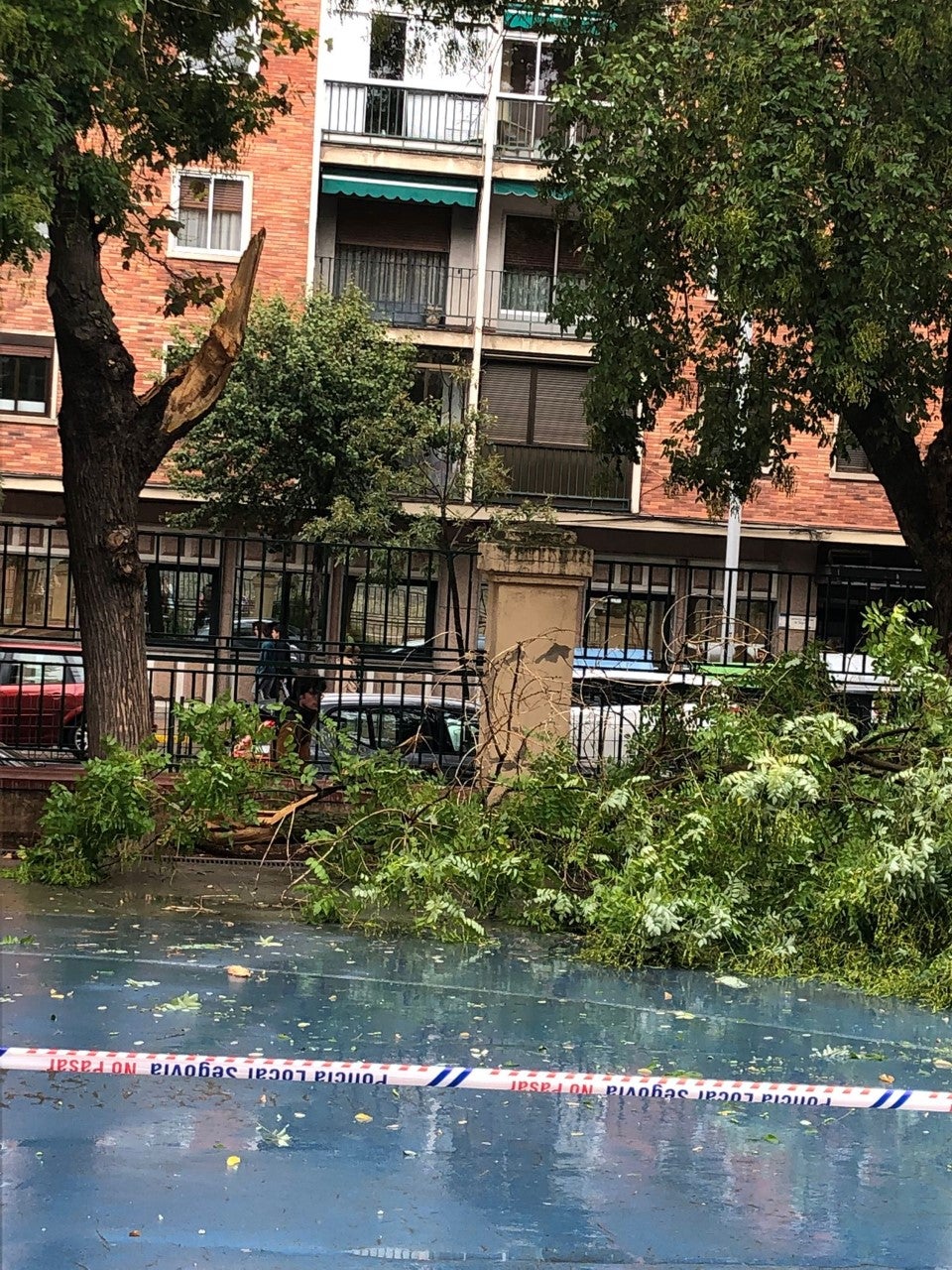 Parte de un árbol cae en el patio del Diego de Colmenares Parte de un árbol cae en el patio del Diego de Colmenares