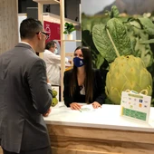 La alcachofa de la Vega Baja viaja a Madrid para promocionar la joya de nuestra huerta La alcachofa de la Vega Baja viaja a Madrid para promocionar la joya de nuestra huerta