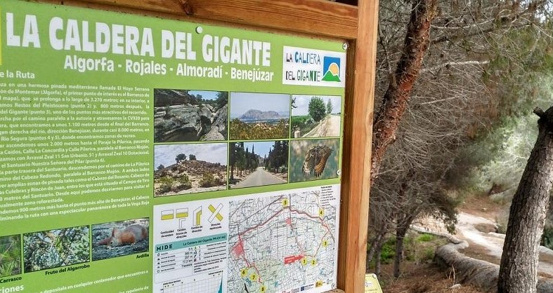 Rosa Mª Fernández, directora de Convega, “es una apuesta por el turismo sostenible” Rosa Mª Fernández, directora de Convega, “es una apuesta por el turismo sostenible”