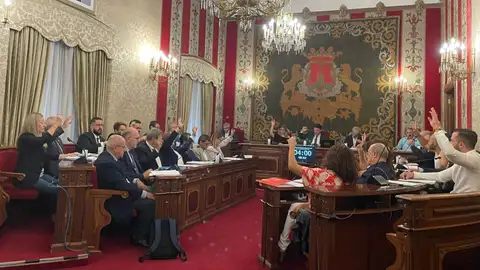 Pleno del Ayuntamiento de Alicante Pleno del Ayuntamiento de Alicante