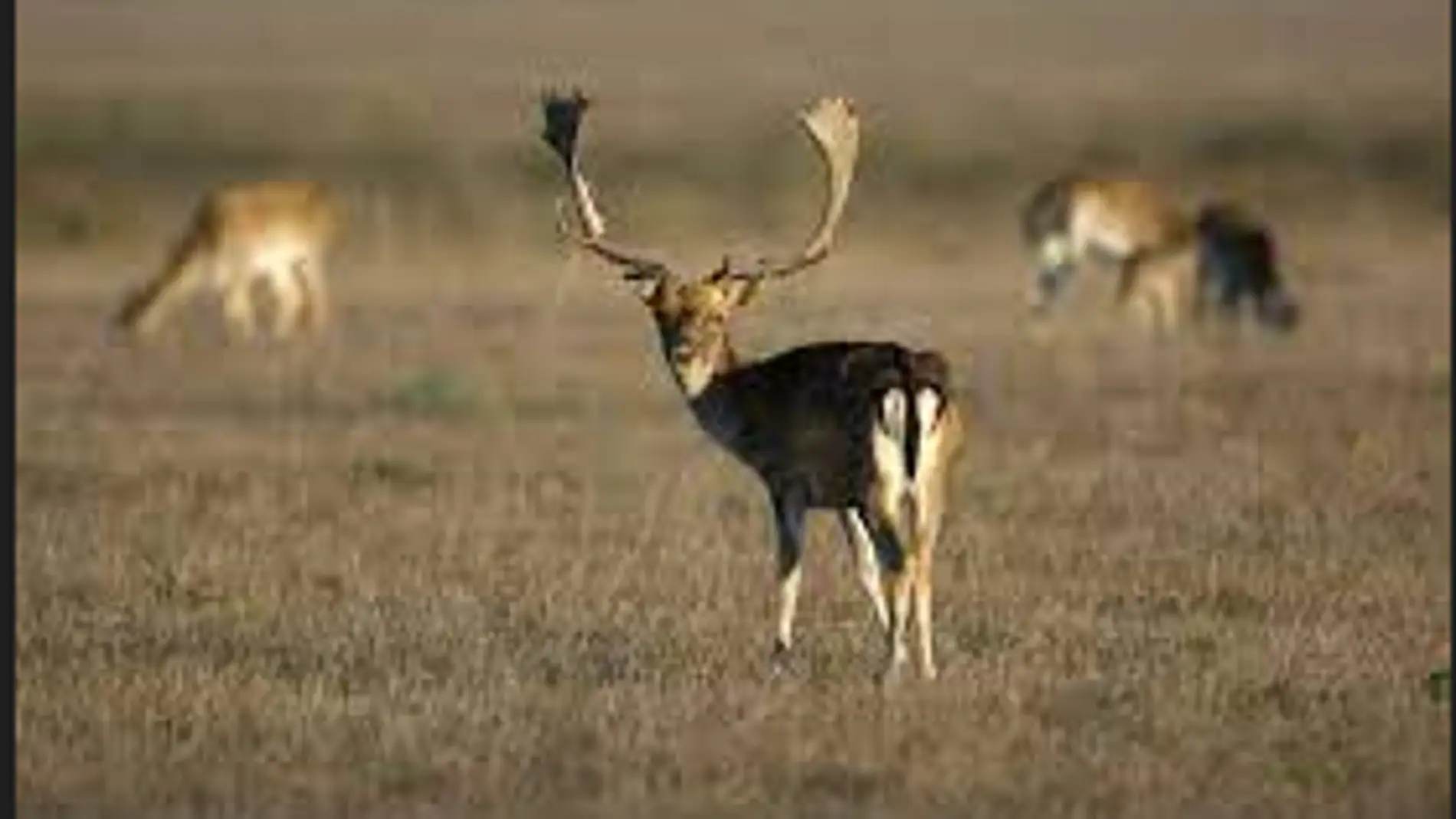 Comienza Intercaza 2022 con 71 expositores y más de 150 actividades Comienza Intercaza 2022 con 71 expositores y más de 150 actividades