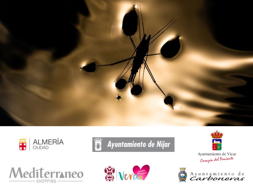 Exposición virtual de fotografía de la XXII Edición ‘Espacios Naturales de la Provincia de Almería’ Exposición virtual de fotografía de la XXII Edición ‘Espacios Naturales de la Provincia de Almería’