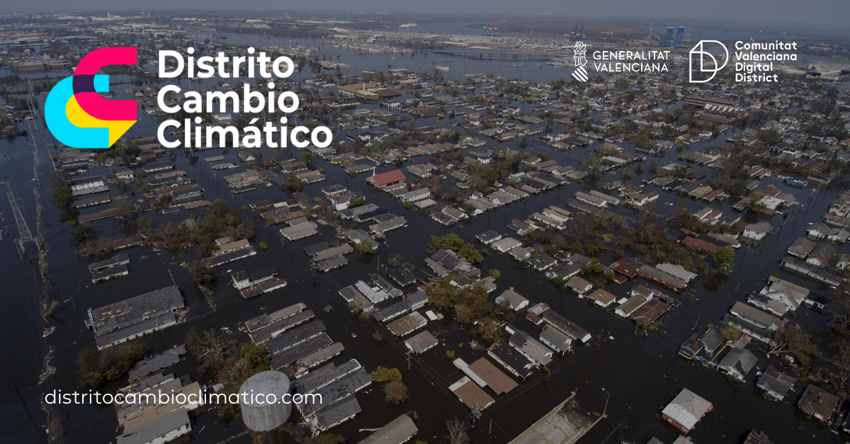 Distrito Digital de Alicante amplía su proyección internacional como jurado de los premios Africa Grows Green 2022 Distrito Digital de Alicante amplía su proyección internacional como jurado de los premios Africa Grows Green 2022