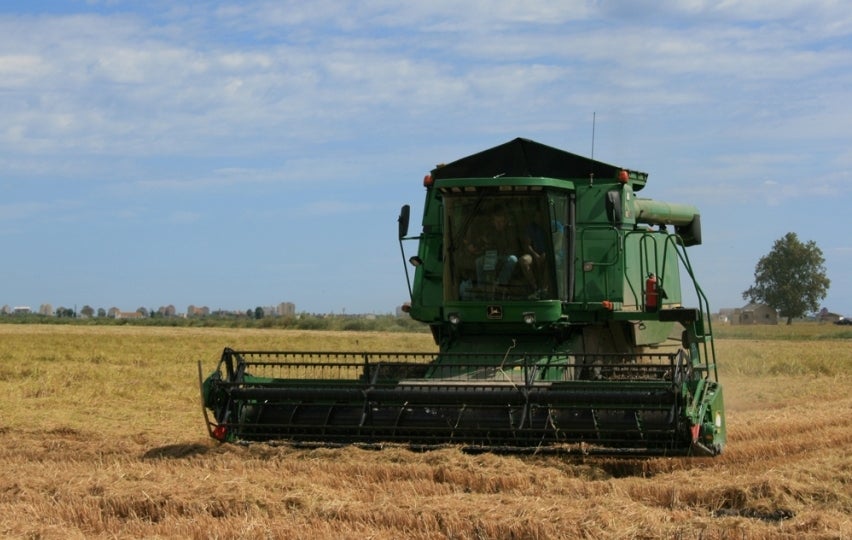 El INESCOP estudia en Elda como transformar los residuos de paja de arroz en nuevos materiales para fabricar suelas o plantillas El INESCOP estudia en Elda como transformar los residuos de paja de arroz en nuevos materiales para fabricar suelas o plantillas