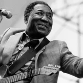 Muddy Waters Muddy Waters