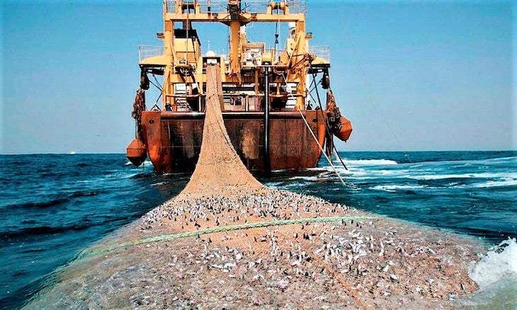 La perspectiva ambiental del veto a la pesca de fondo La perspectiva ambiental del veto a la pesca de fondo