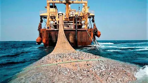 El gobierno llevará a los tribunales de la UE el cierre de caladeros a la pesca de arrastre El gobierno llevará a los tribunales de la UE el cierre de caladeros a la pesca de arrastre